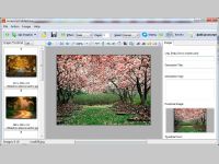 JavaScript SlideShow Builder