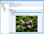 DBBlobEditor 4.1
