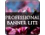 Professional Banner Lite 1