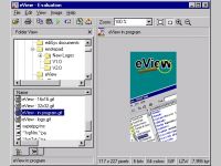 eView