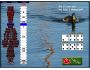 Yahtzee 2010 1.0