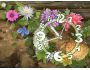 Flowers Clock ScreenSaver 1.2
