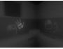 Dark Which 1.1