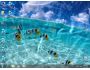 Animated Wallpaper: Watery Desktop 3D 3.998