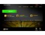 Norton Antivirus Beta 2013