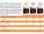 aVtomic antivirus home 1.0