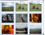 Photo Viewer and Paster Lite 6.01.00
