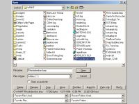 File-Ex