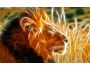 Wild Animal Screensaver 1.0