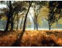 National Parks Free Screensaver 2.0