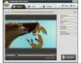 iPixSoft SWF to AVI Converter 1.3.7
