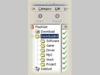 FlashGet