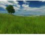 Grassland 3D Screensaver 1.0
