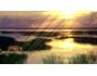 Animal Wildlife Animated Wallpaper 1.0