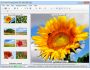 VintaSoftImaging.NET SDK 5.0
