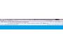 Seo Toolbar by PMC Slim Fast Coupons 1.0