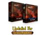 WoW Power Leveling Package 4.2.18
