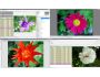 WilBit Viewer 5.11