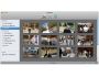 CoffeeCup InstaWeb 1.0.172