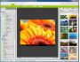 Ashampoo Photo Commander 10 10.2.0