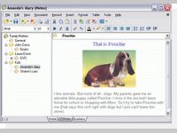 GoldenSection Notes