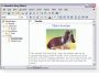 GoldenSection Notes 4.0