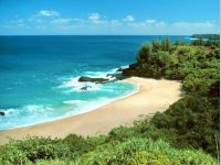 Hawaiian Dreams Screensaver