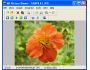 AD Picture Viewer 3.9.1