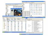 IconCool - A powerful icon tool