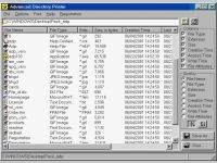 Advanced Directory Printer