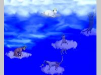 Kitty heaven